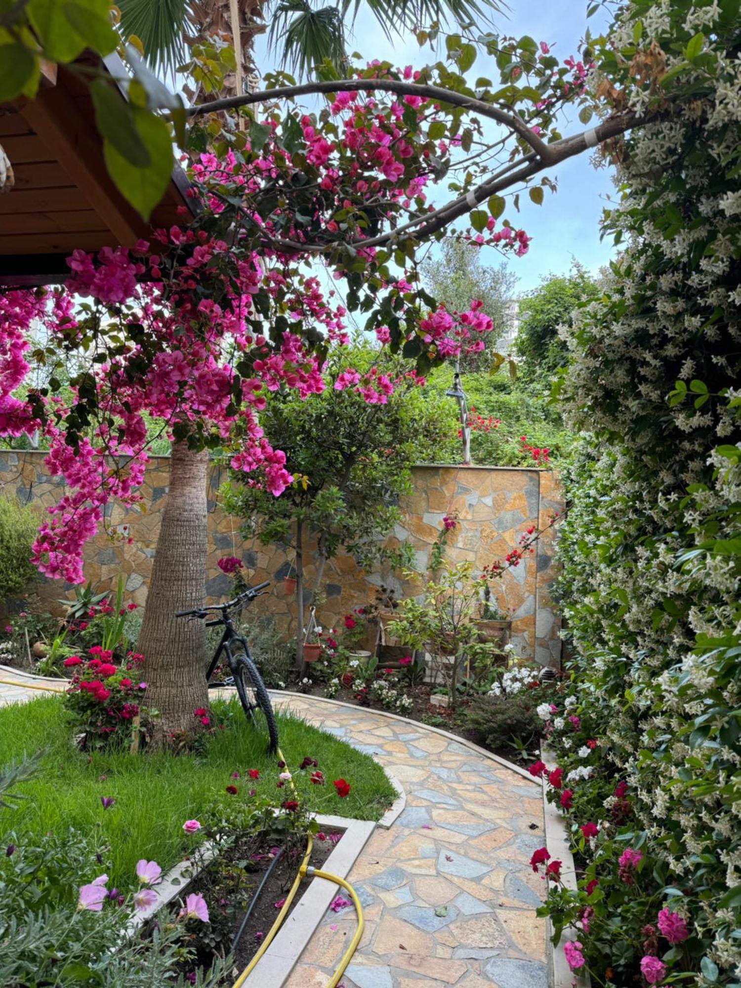 Guest Room Angolo Toscano Vlore Luaran gambar